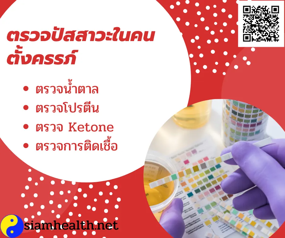 การตรวจปัสสาวะในคนตั้งครรภ์